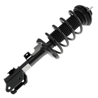 Shock / Strut and Coil Spring Assembly