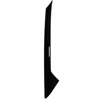 Windshield Molding
