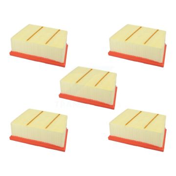 Air Filter (5 Pack) For Ford EcoSport K57-104065