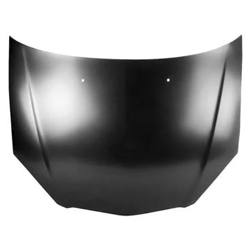 Hood Panel Assembly for Acura RSX 2002-2006