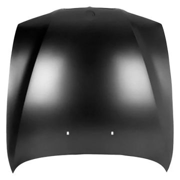 Hood Panel Assembly for BMW M5 540i 528i