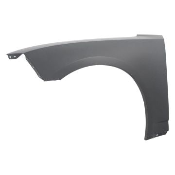 Fender Front Left CAPA for Dodge Charger 2006-2010