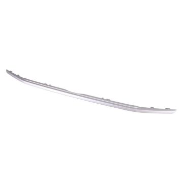 Grille Molding Lower for Ford EcoSport SE 2018-2022