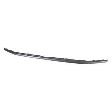 Grille Molding Lower for Ford EcoSport SES 2018-2022