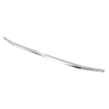 Grille Molding Lower Titanium for Ford EcoSport 2018-2022