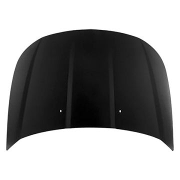 Hood Panel Assembly for Ford Focus 2008-2011
