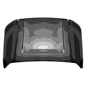 Hood Panel Assembly CAPA for Ford F-250 Super Duty F-350 Super Duty
