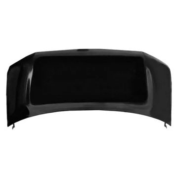 Hood Panel Assembly for Chevrolet Express 1500 Express 2500 Express 3500 GMC Savana 1500 Savana 2500 Savana 3500
