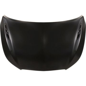 Hood Panel Assembly Steel for Buick Allure LaCrosse