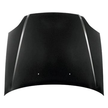 Hood Panel Assembly Canada/USA Built CAPA for Honda Civic Hatchback Coupe Sedan 1999-2000
