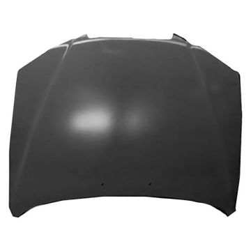 Hood Panel Assembly for Hyundai Elantra 2001-2003