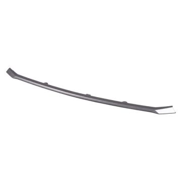 Grille Molding w/o F Sport Pkg Center Moulding No. 1 for Lexus IS300 IS350