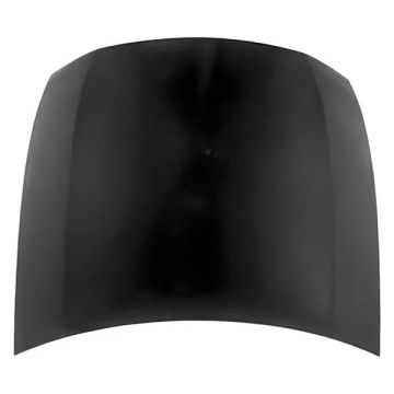Hood Panel Assembly for Lexus GS300 GS350 GS430 GS460