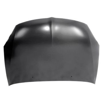 Hood Panel Assembly for Mitsubishi Lancer 2006-2007