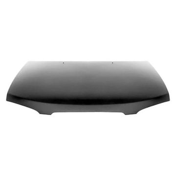 Hood Panel Assembly for Nissan Sentra 2000-2003