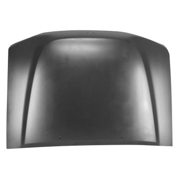 Hood Panel Assembly for Nissan Xterra 2002-2004