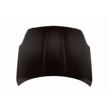 Hood Panel Assembly Steel for Nissan Maxima 2004-2006