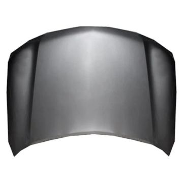 Hood Panel Assembly for Nissan Armada 2017-2020
