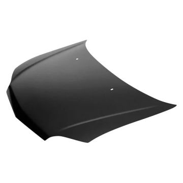 Hood Panel Assembly for Toyota Echo 2000-2002
