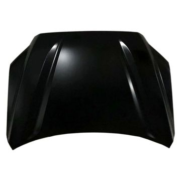 Hood Panel Assembly w/o TRD Pro Pkg Aluminum for Toyota Sequoia Tundra