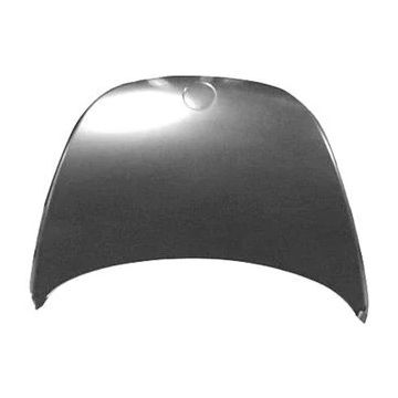 Hood Panel Assembly for Volkswagen Beetle 2006-2010