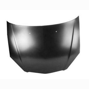 Hood Panel Assembly for Acura RSX 2002-2006
