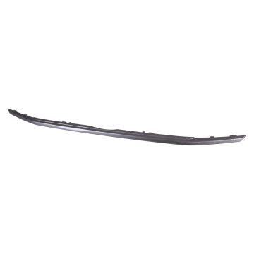 Grille Molding Lower CAPA for Ford EcoSport SES 2018-2022
