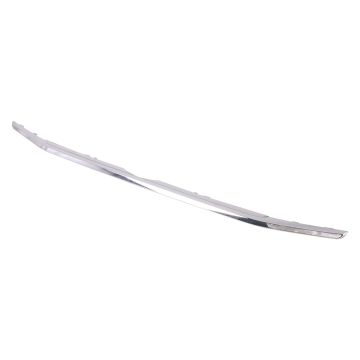 Grille Molding Lower Titanium for Ford EcoSport 2018-2022