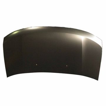 Hood Panel Assembly for Ford Edge 2007-2010