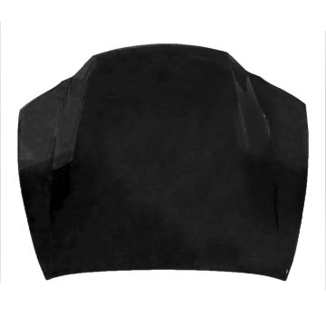 Hood Panel Assembly for Lexus GS350 GS450h