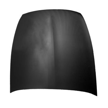 Hood Panel Assembly for Lexus LS460 LS600h
