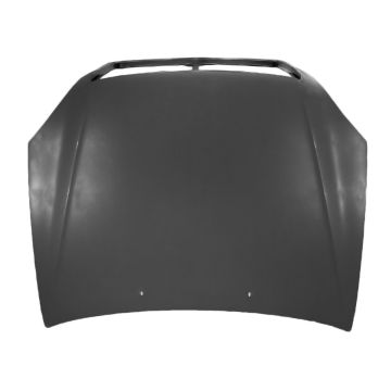Hood Panel Assembly for Lexus LS430 2001-2003