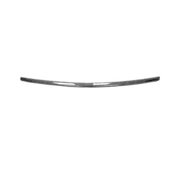 Bumper Cover Molding Front for Nissan Murano 2006-2007