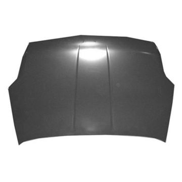 Hood Panel Assembly for Nissan Sentra 2007-2012