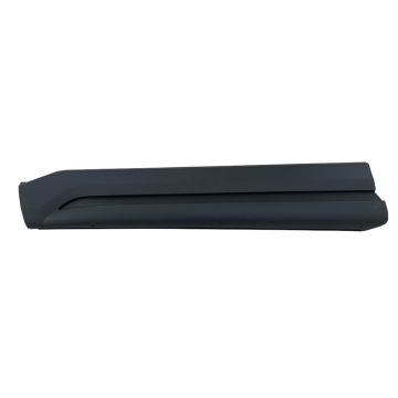Door Molding Front Left w/o Chrome Trim for Subaru Ascent 2019-2023