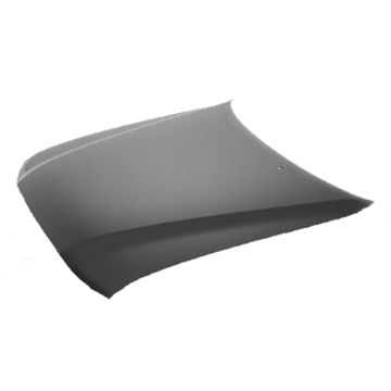 Hood Panel Assembly for Toyota Tacoma 2001-2004