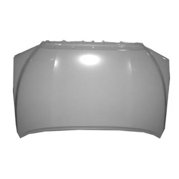 Hood Panel Assembly for Toyota Sequoia Tundra