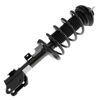 Shock / Strut and Coil Spring Assembly